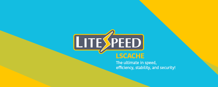 Litespeed Cache (LSCache)