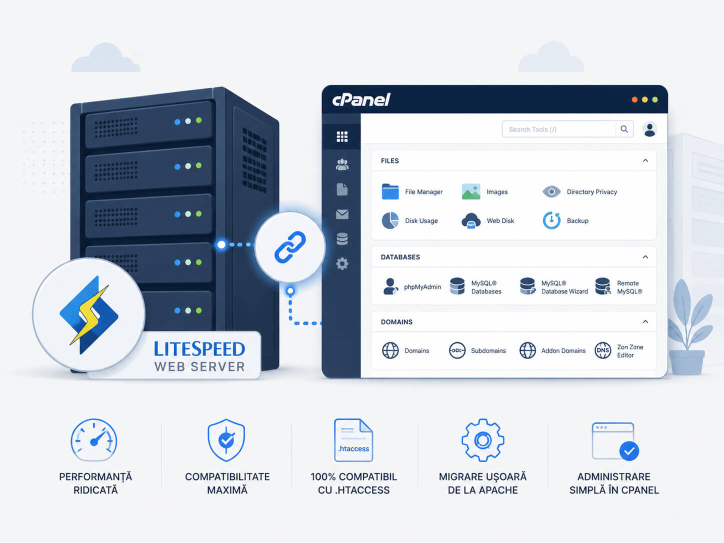 LiteSpeed si cPanel pentru administrarea performanta a serviciilor de hosting