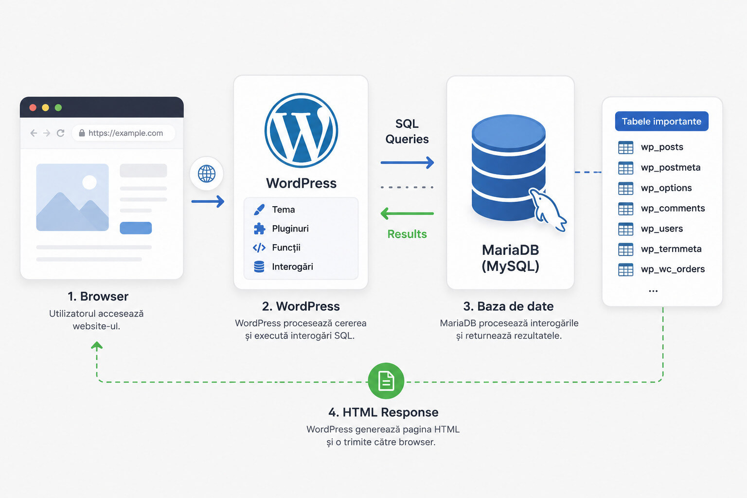 Cum functioneaza baza de date WordPress si interogarile SQL