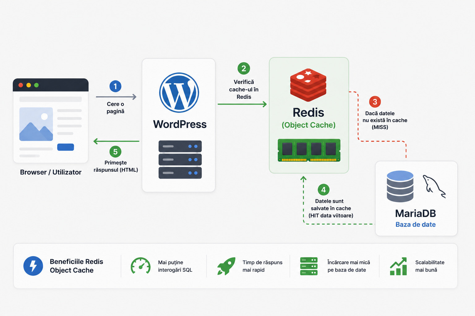 Redis Object Cache reduce interogarile SQL