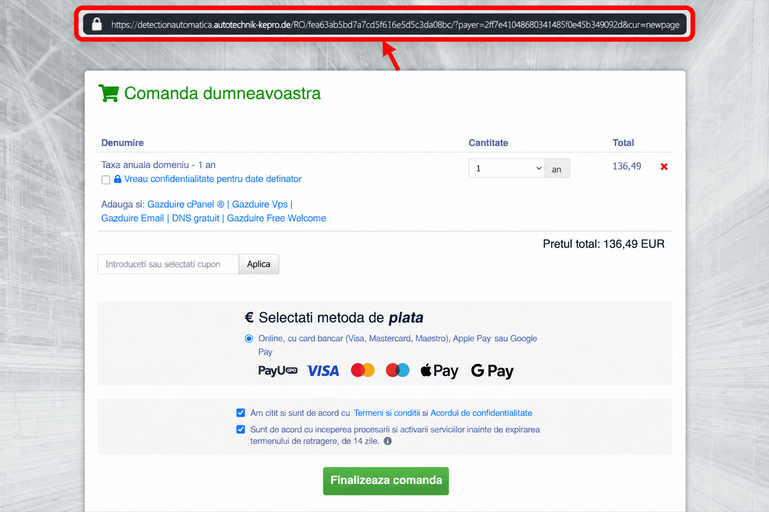Exemplu de pagină falsă de plată pentru reînnoirea unui domeniu