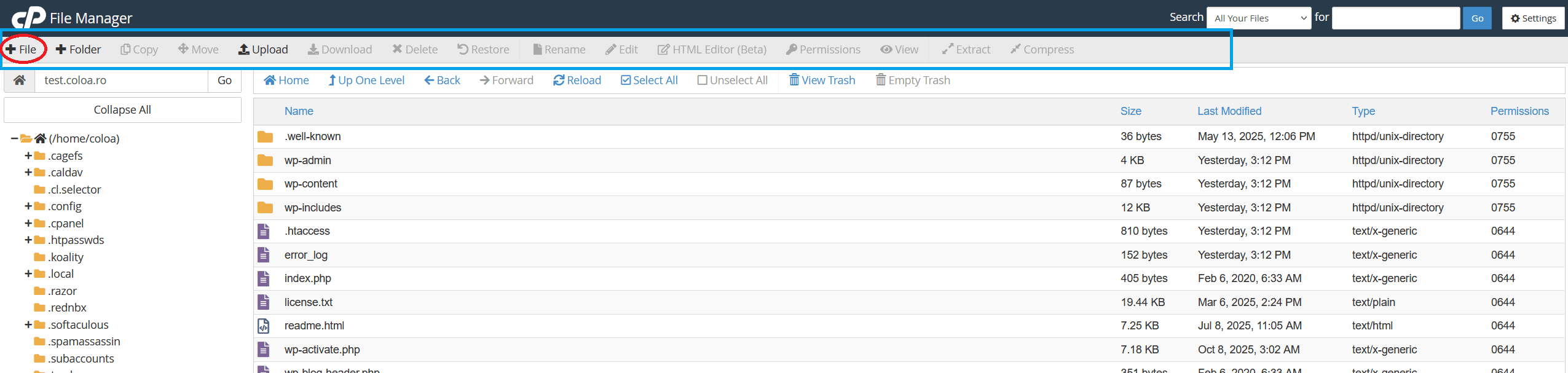 Creare fișier în File Manager