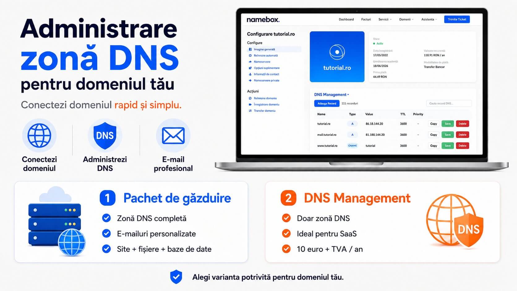 administrare zonă DNS