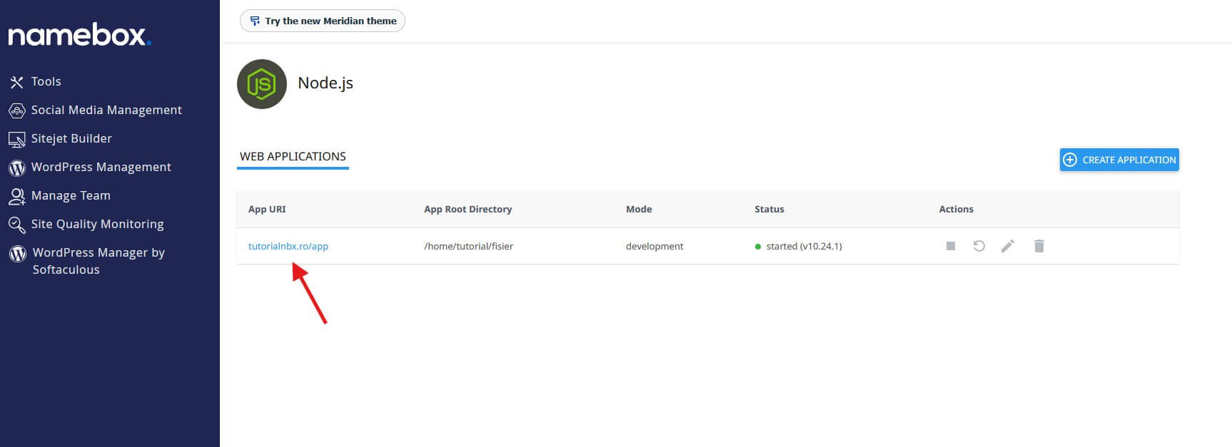 testare aplicatie in browser